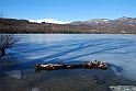 Lago Piccolo di Avigliana ghiacciato_028